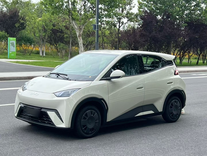 比亚迪 海鸥 2025款 305km 活力版