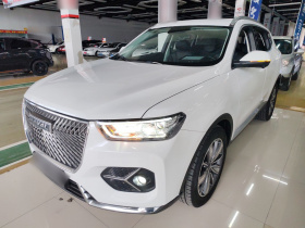 哈弗H6 2021款 1.5T 自动冠军版