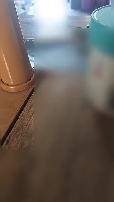 众泰T600 Coupe 2017款 1.5T 自动豪华型讲解2