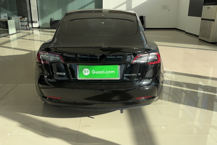 特斯拉 Model 3 2020款 长续航后轮驱动版车身外观6006