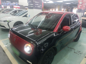 欧拉黑猫 2019款 301km 标准版