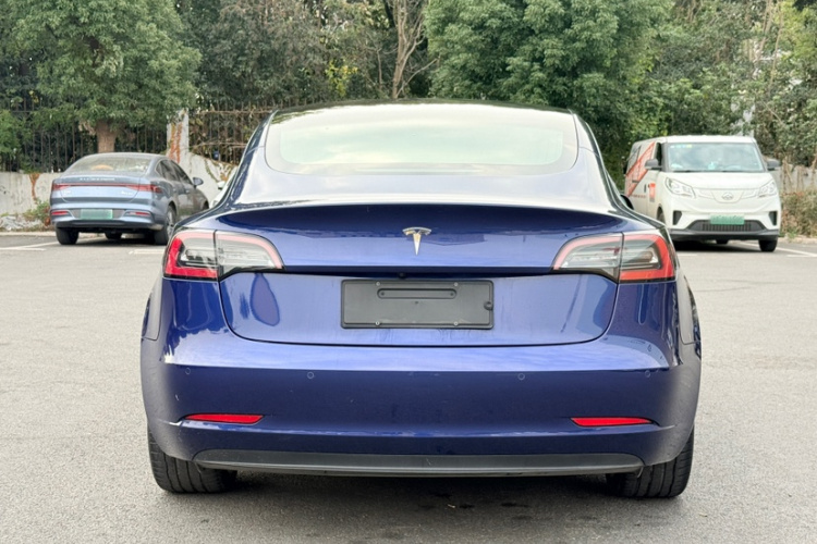 特斯拉 Model 3(进口) 2019款 长续航后驱版车身外观6005