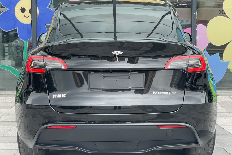 特斯拉 Model Y 2022款 后轮驱动版车身外观6010