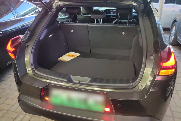 雷克萨斯UX新能源 2020款 300e 纯·悦版局部细节23