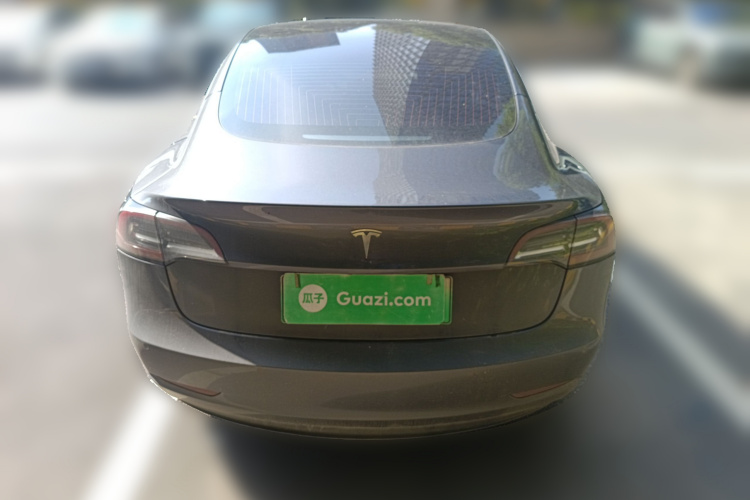 特斯拉 Model 3(进口) 2019款 长续航后驱版车身外观6004