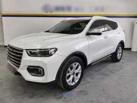 哈弗H6 2019款 2.0GDIT 自动冠军版 国V