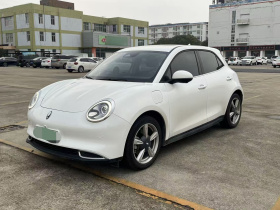 欧拉好猫 2021款 400km标准续航 维纳斯版 三元锂