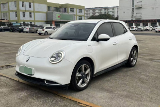 欧拉好猫 2021款 400km标准续航 维纳斯版 三元锂