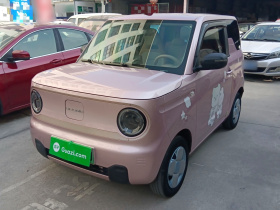 吉利银河 2023款 熊猫mini 200km 耐力熊