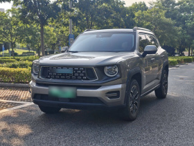 哈弗大狗 PLUS 新能源 2023款 DHT-PHEV 105km 潮电版Plus