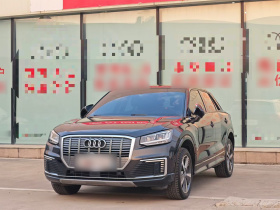 奥迪Q2L e-tron 2019款 Q2L e-tron 纯电智酷型