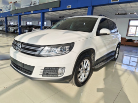 大众 途观 2017款 300TSI 自动两驱丝绸之路风尚版