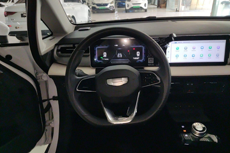 吉利几何E萤火虫 2024款 301km 流光局部细节13