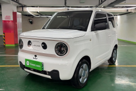 吉利银河 2023款 熊猫mini 200km 耐力熊