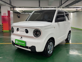吉利银河 2023款 熊猫mini 200km 耐力熊