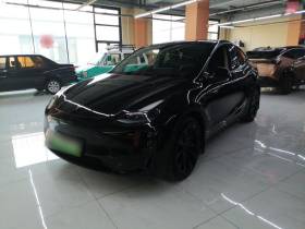 特斯拉 Model Y 2022款 后轮驱动版