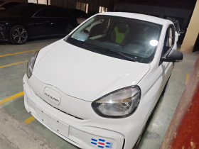 荣威 科莱威CLEVER 2021款 302km全能版