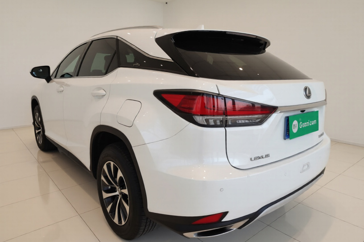 雷克萨斯RX 2020款 改款 300 两驱精英版车身外观5