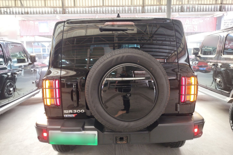 坦克300新能源 2024款 Hi4-T车身外观6