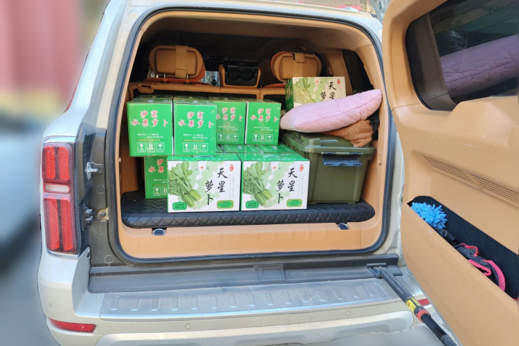 坦克500新能源 2024款 Hi4-T中控内饰23