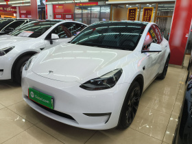 特斯拉 Model Y 2022款 改款 长续航全轮驱动版