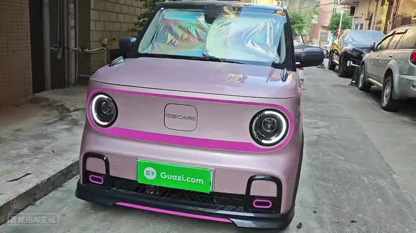 吉利银河 2025款 210km 熊猫卡丁检测视频1