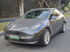 特斯拉 Model Y 2021款 标准续航后驱版