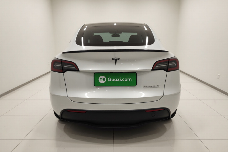 特斯拉 Model Y 2022款 Performance高性能全轮驱动版车身外观6