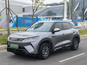 比亚迪 元UP 2024款  401KM 活力版