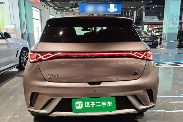 比亚迪 海豚 2021款 405km 时尚版车身外观6004