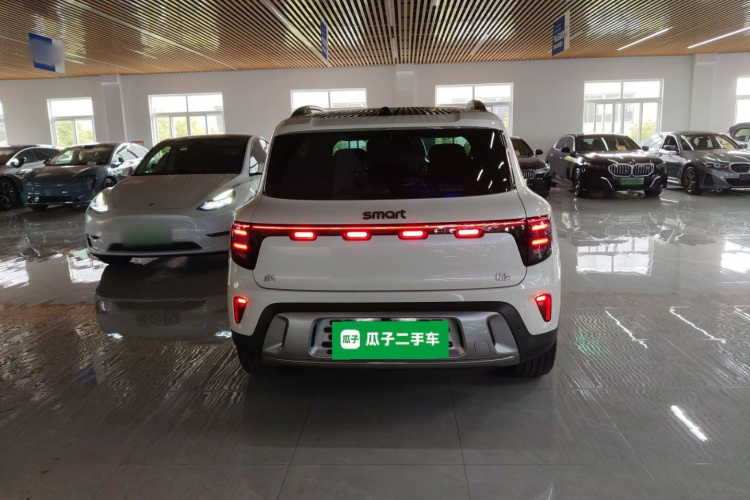 smart精灵#5 2024款 长续航奇旅 标准版车身外观6