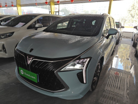 东风风行 风行游艇 2022款 1.5T DCT逐浪版