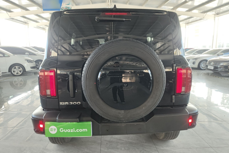 坦克300 2024款 2.0T 征服者车身外观6