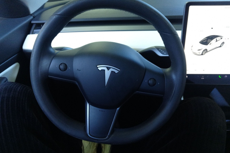 特斯拉 Model 3(进口) 2019款 Performance高性能全轮驱动版中控内饰13