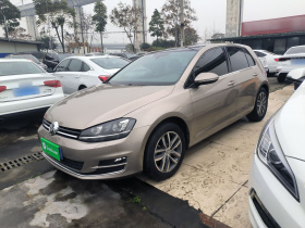 大众 高尔夫 2014款 1.4TSI 自动旗舰型