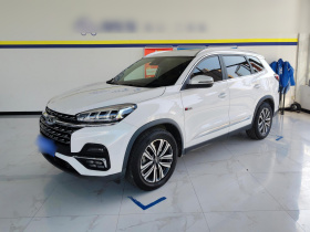 奇瑞 瑞虎8 2021款 鲲鹏版 390TGDI 自动扶摇版