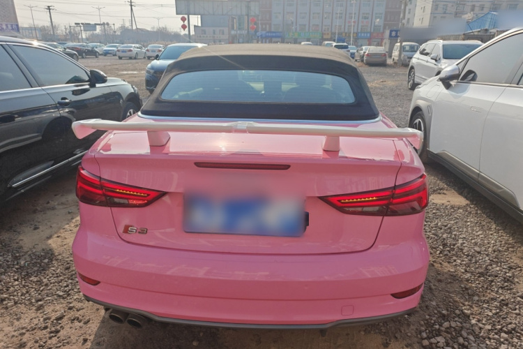 奥迪A3(进口) 2017款 Cabriolet 40 TFSI车身外观6