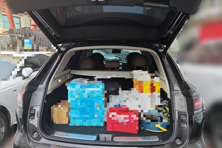 零跑汽车 零跑C11 2021款 豪华版中控内饰23