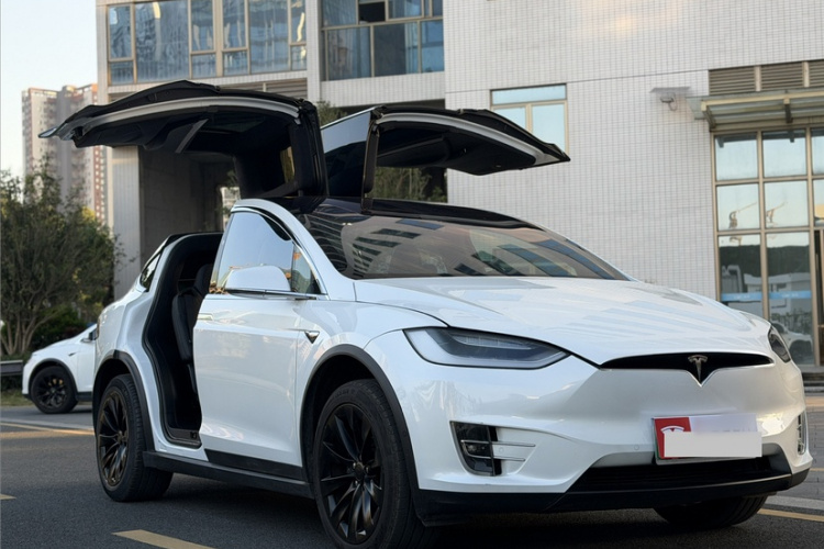 特斯拉 Model X 2019款 长续航版车身外观6002
