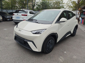 比亚迪 海鸥 2025款 305km 活力版