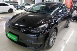 特斯拉 Model Y 2021款 标准续航后驱版