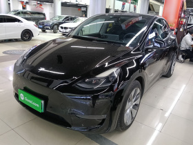 特斯拉 Model Y 2021款 标准续航后驱版