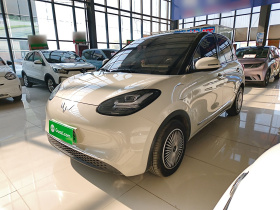 五菱汽车 五菱缤果 2024款 333km 悦享款