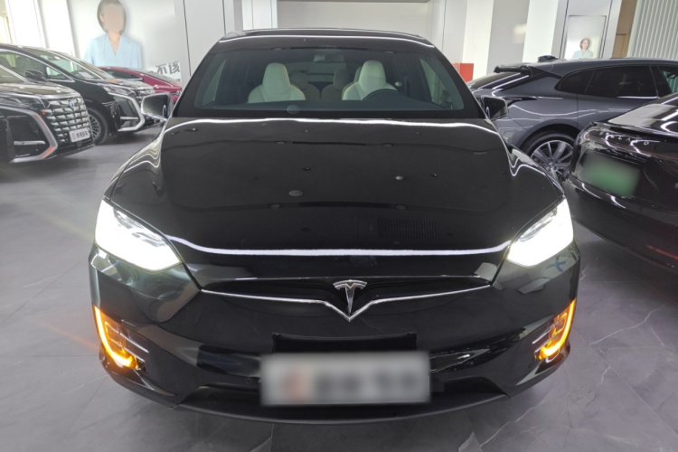 特斯拉 Model X 2019款 Performance 高性能版车身外观2