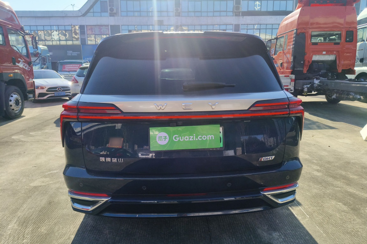 魏牌 蓝山 2023款 四驱超长续航版车身外观6004