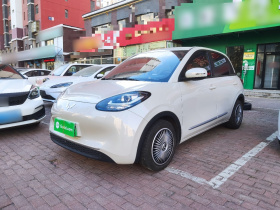 五菱汽车 五菱缤果 2023款 203km 轻享款