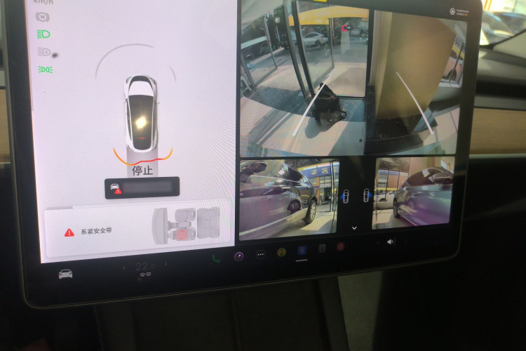 特斯拉 Model Y 2021款 长续航全轮驱动版 3D7局部细节16