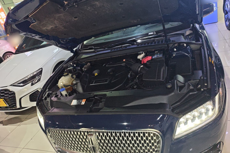 林肯大陆 2019款 2.0T 两驱尊耀版 国VI局部细节24