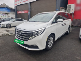 广汽传祺 传祺M8 2018款 320T 尊享版