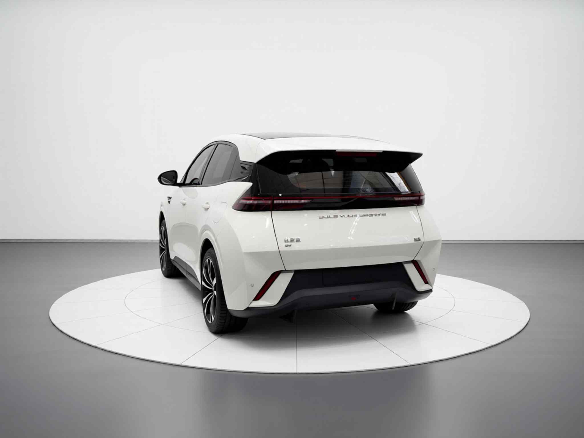 比亚迪 海鸥 2024款 荣耀版 305km 活力版(4)
